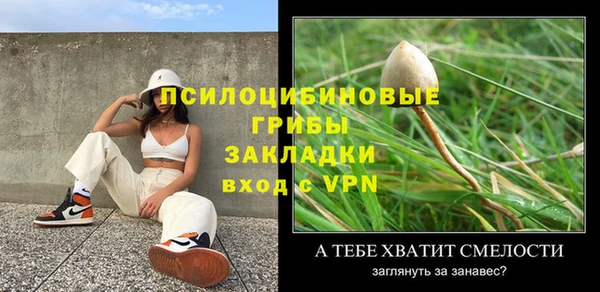 прущий лед Арсеньев