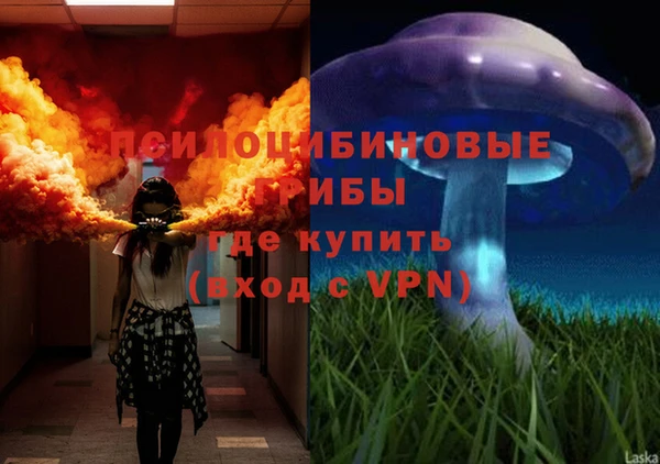 прущий лед Арсеньев